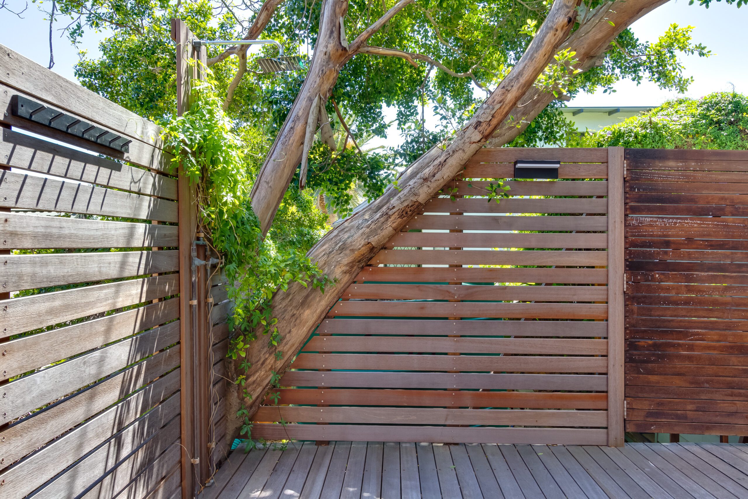 Garden-Outdoor-Area (12)